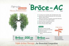 Broce