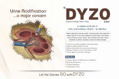 Dyso