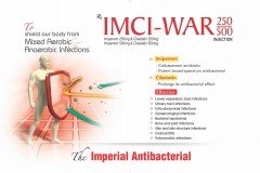 IM-CI-WAR