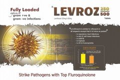 Levroz
