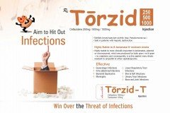 Torzid