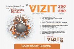 Vizit
