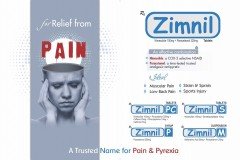 Zimnil